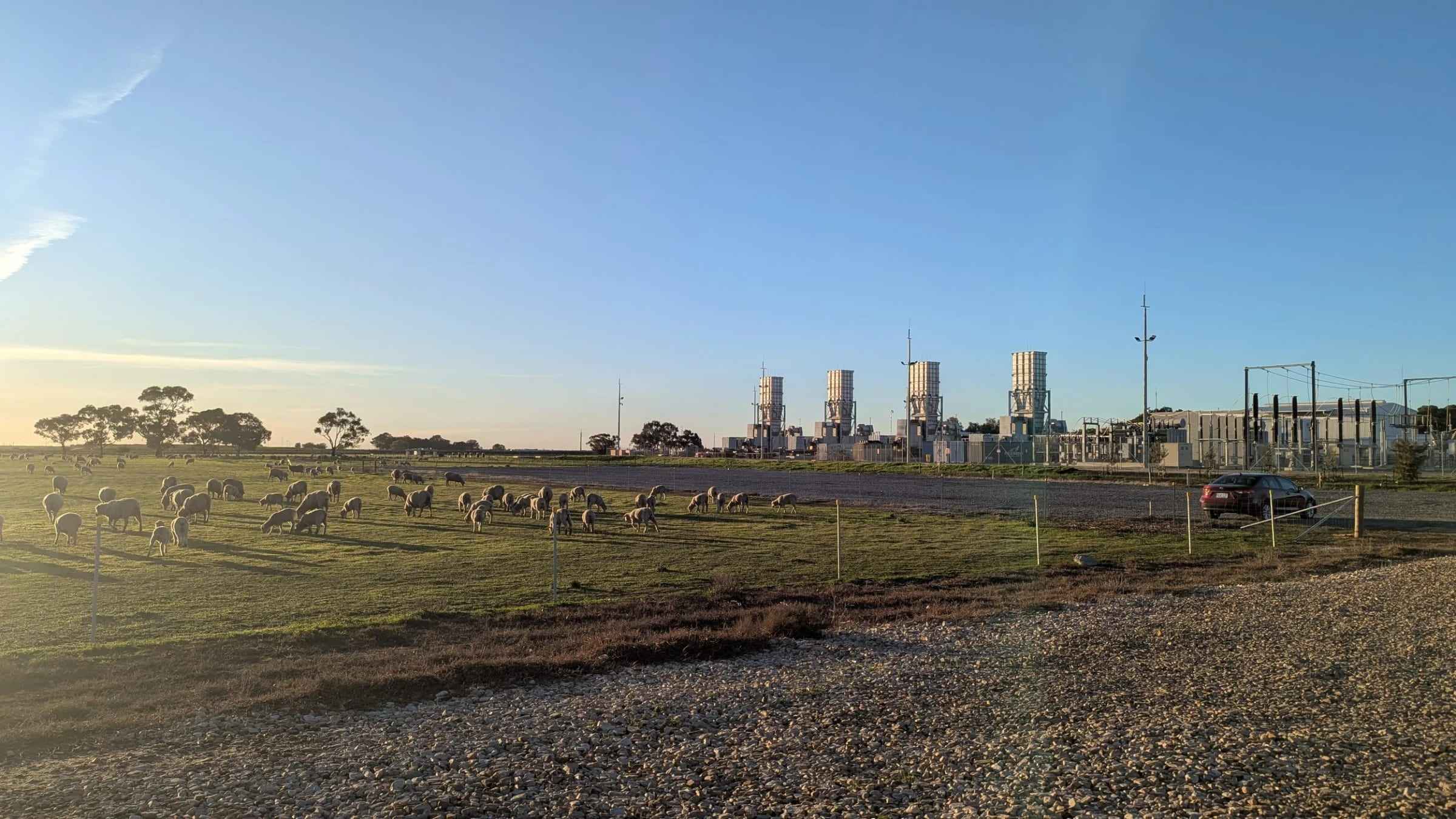 Gas-fired power station at dusk with sheep grazing in the foreground